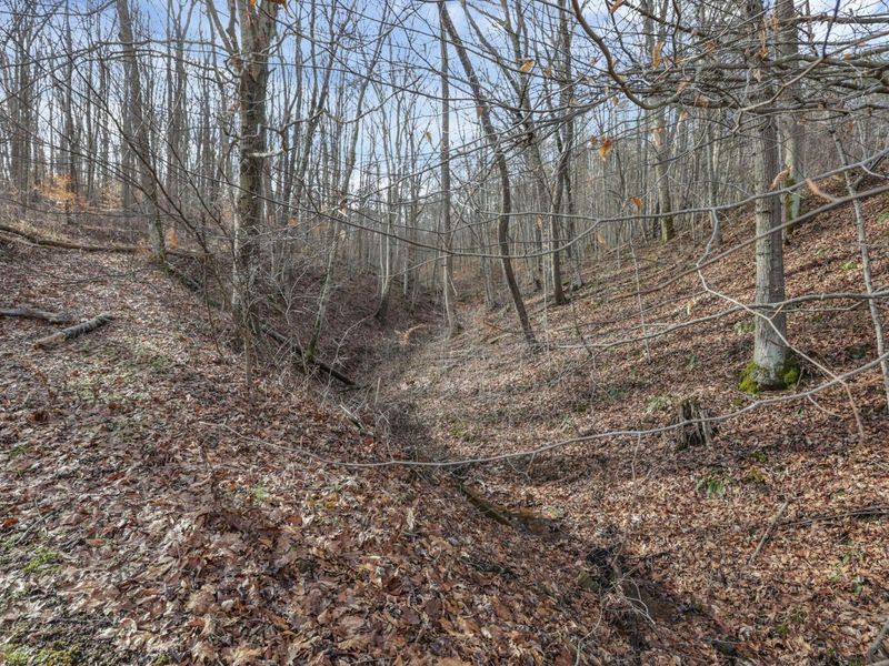 22913 Goose Creek Road, South Bloomingville, OH 43152 Photo 14