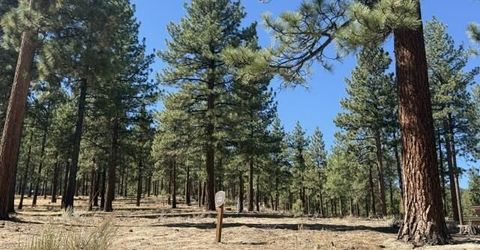 280 Redding Way, Lot #233, Carson City, NV 89705 Photo