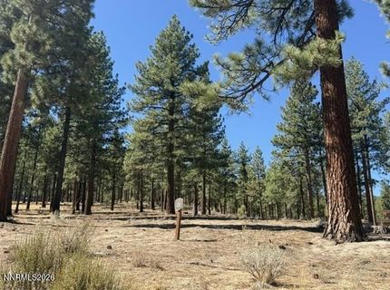 280 Redding Way, Lot #233, Carson City, NV 89705 Photo