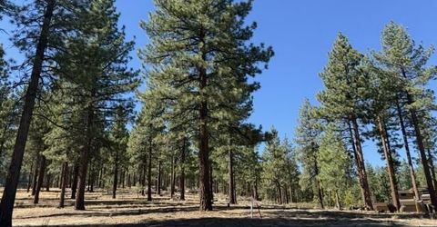 280 Redding Way, Lot #233, Carson City, NV 89705 Photo
