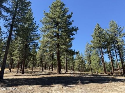 280 Redding Way, Lot #233, Carson City, NV 89705 Photo