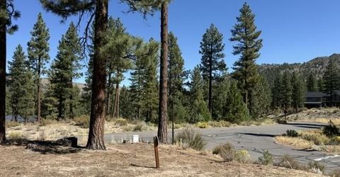 280 Redding Way, Lot #233, Carson City, NV 89705 Photo