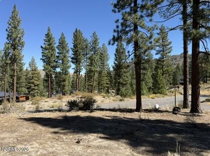 280 Redding Way, Lot #233, Carson City, NV 89705 Photo