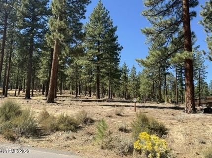 280 Redding Way, Lot #233, Carson City, NV 89705 Photo