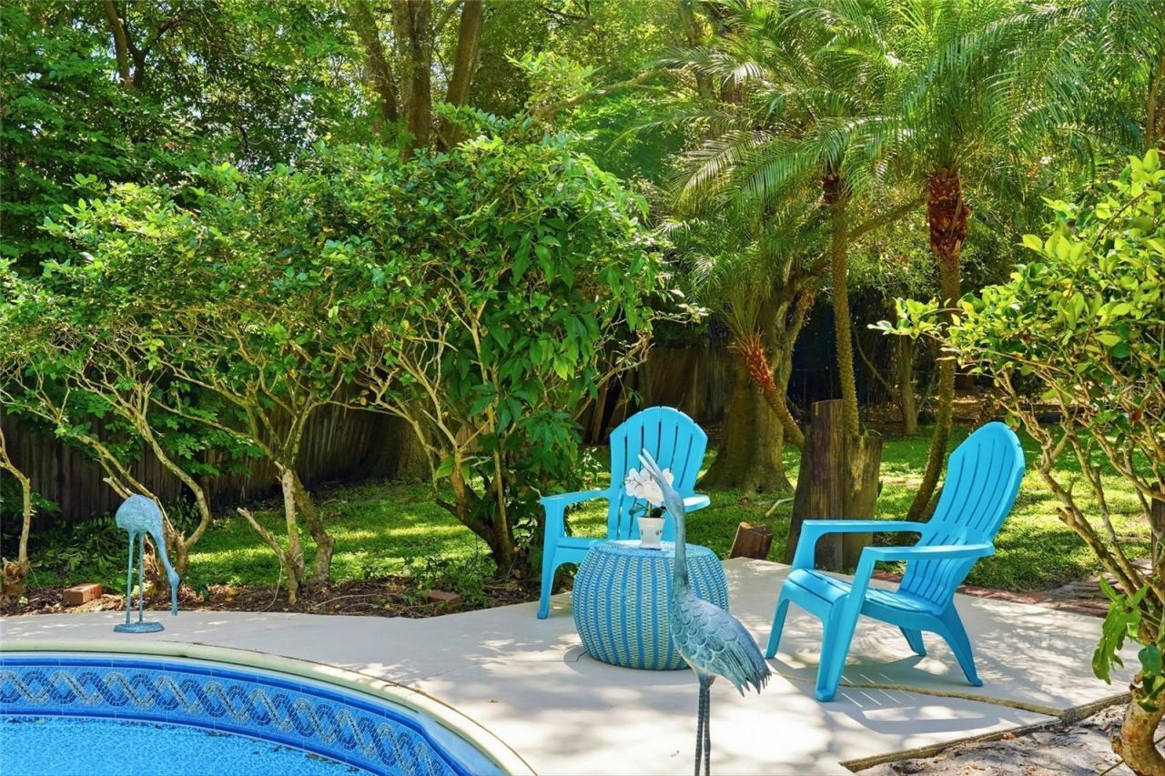 1721 Dorchester Road, Clearwater, FL 33764 Photo