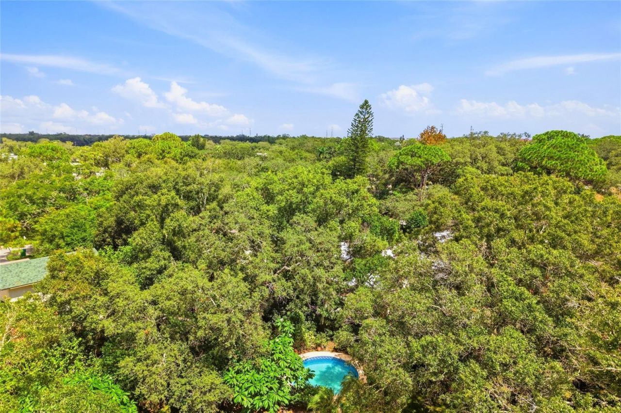 1721 Dorchester Road, Clearwater, FL 33764 Photo