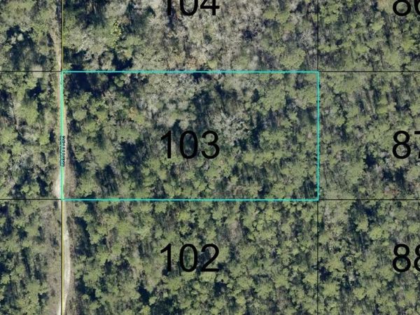 103 CROTTY STREET , HASTINGS, FL 32145