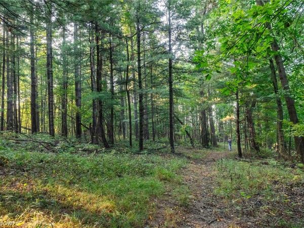 10772 Lawndell Road SW, Unit 10, Navarre, OH 44608