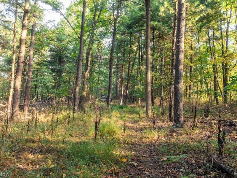 10772 Lawndell Road SW, Unit 10, Navarre, OH 44608 Photo 8