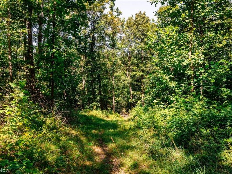 Kings Ridge Road, Newcomerstown, OH 43832 Photo 15