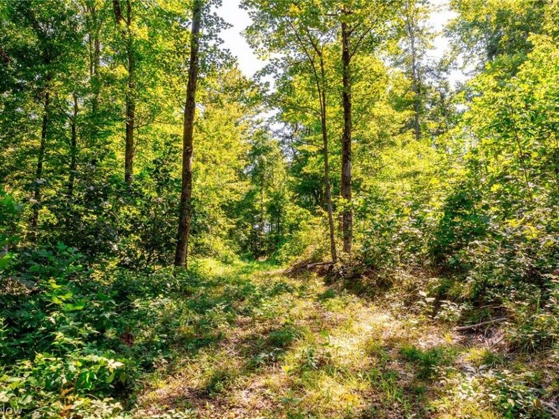 Kings Ridge Road, Newcomerstown, OH 43832 Photo 16