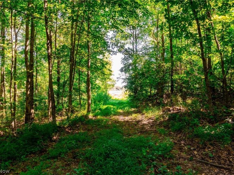Kings Ridge Road, Newcomerstown, OH 43832 Photo 17