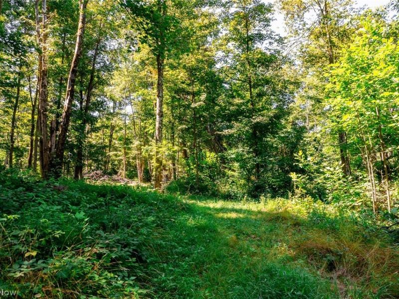 Kings Ridge Road, Newcomerstown, OH 43832 Photo 9