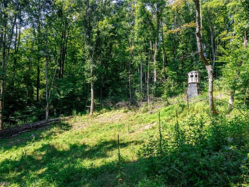 Kings Ridge Road, Newcomerstown, OH 43832 Photo 10