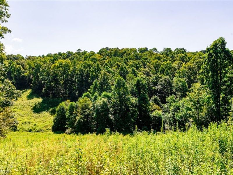 Kings Ridge Road, Newcomerstown, OH 43832 Photo 13