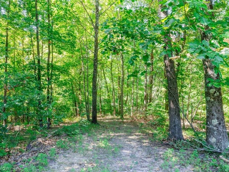 Kings Ridge Road, Newcomerstown, OH 43832 Photo 15