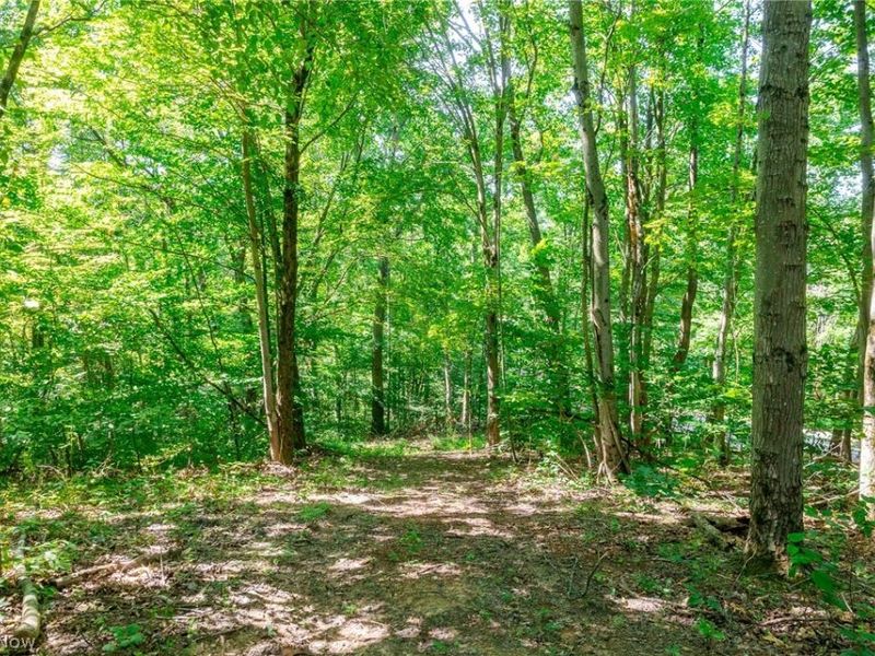 Kings Ridge Road, Newcomerstown, OH 43832 Photo 16