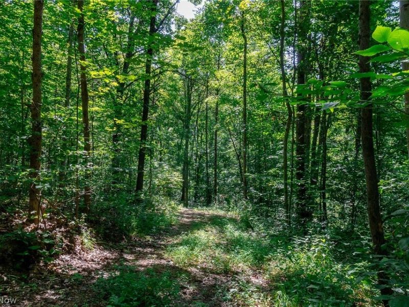 Kings Ridge Road, Newcomerstown, OH 43832 Photo 18