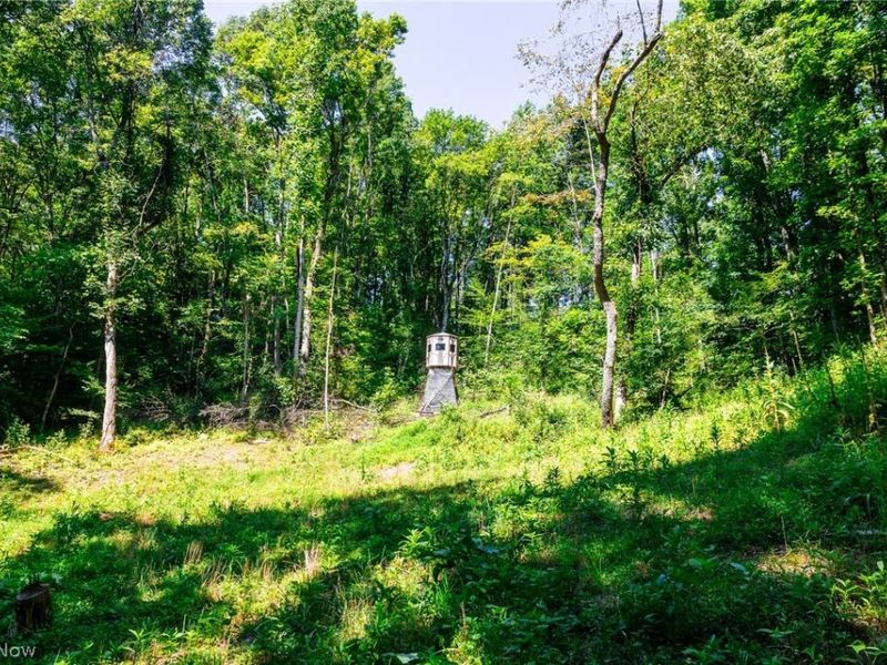 Kings Ridge Road, Newcomerstown, OH 43832 Photo 2