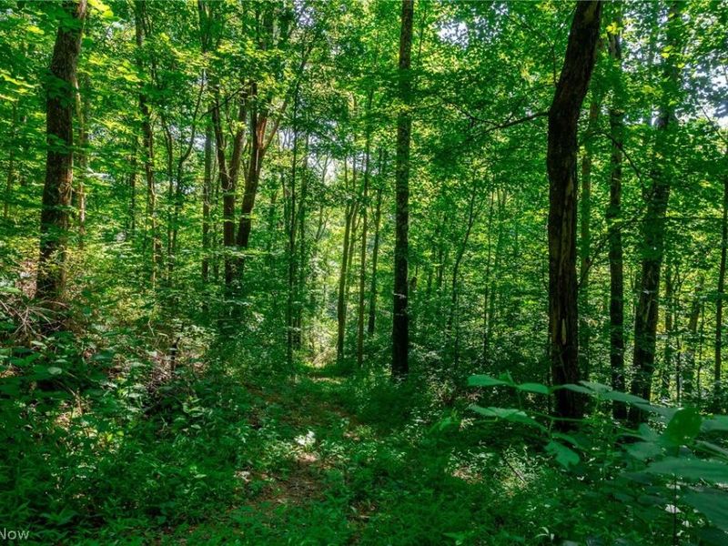 Kings Ridge Road, Newcomerstown, OH 43832 Photo 20