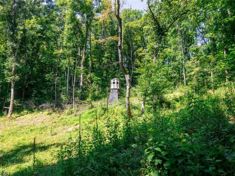 Kings Ridge Road, Newcomerstown, OH 43832 Photo 22