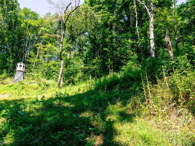 Kings Ridge Road, Newcomerstown, OH 43832 Photo 23