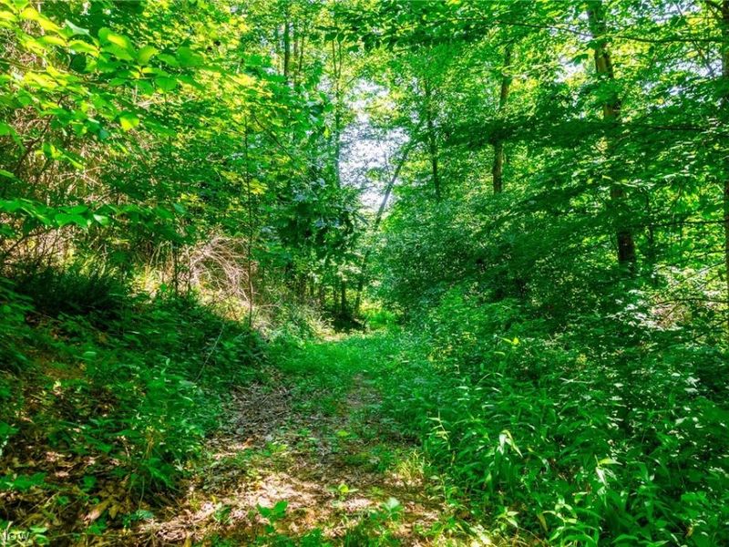 Kings Ridge Road, Newcomerstown, OH 43832 Photo 27