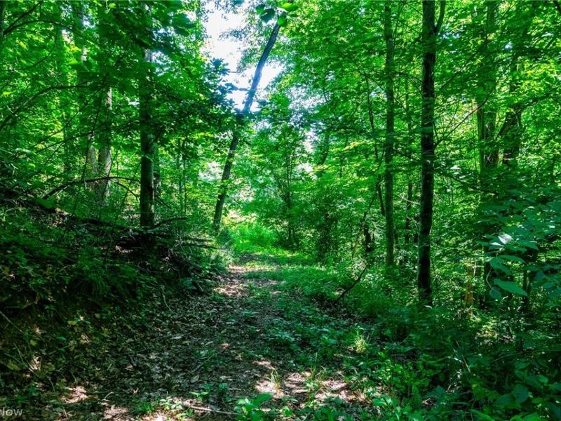 Kings Ridge Road, Newcomerstown, OH 43832 Photo 28