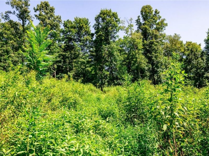 Kings Ridge Road, Newcomerstown, OH 43832 Photo 30