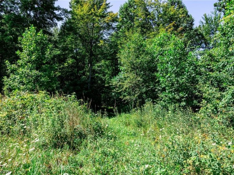 Kings Ridge Road, Newcomerstown, OH 43832 Photo 33