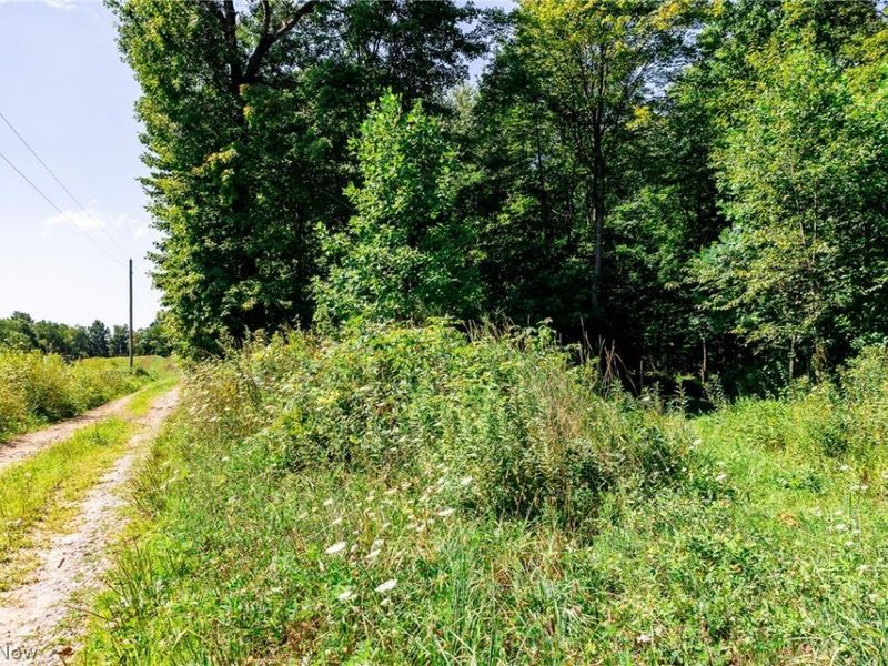 Kings Ridge Road, Newcomerstown, OH 43832 Photo 34