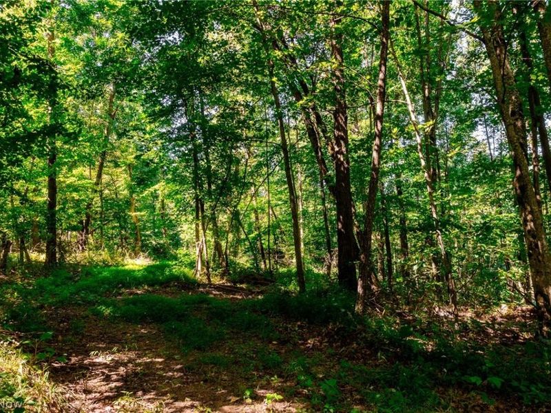 Kings Ridge Road, Newcomerstown, OH 43832 Photo 36