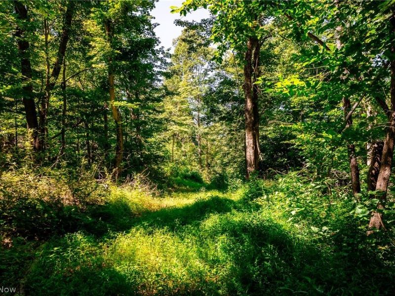 Kings Ridge Road, Newcomerstown, OH 43832 Photo 37