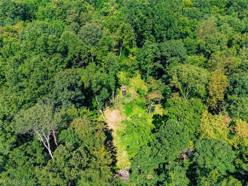 Kings Ridge Road, Newcomerstown, OH 43832 Photo 41