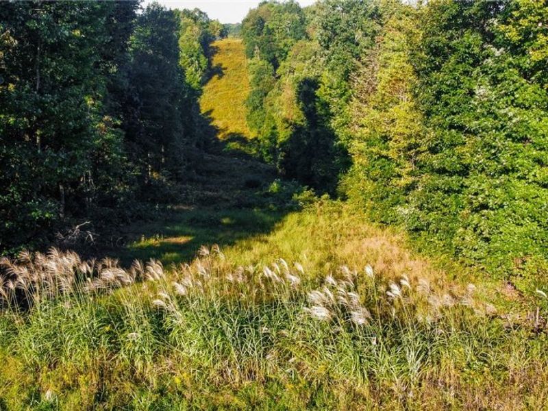 Kings Ridge Road, Newcomerstown, OH 43832 Photo 47
