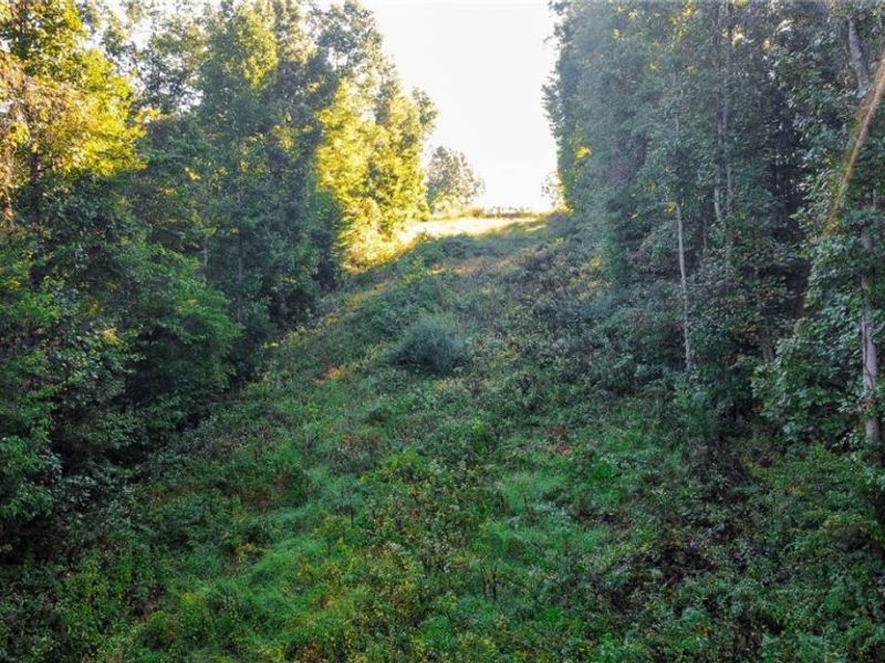 Kings Ridge Road, Newcomerstown, OH 43832 Photo 49