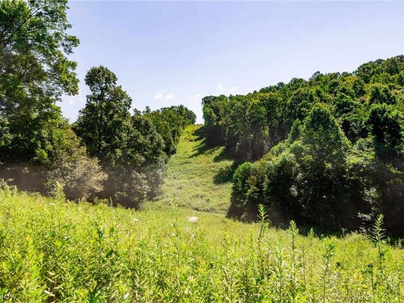 Kings Ridge Road , Newcomerstown, OH 43832 Photo 11