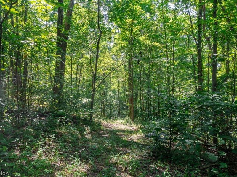 Kings Ridge Road , Newcomerstown, OH 43832 Photo 13