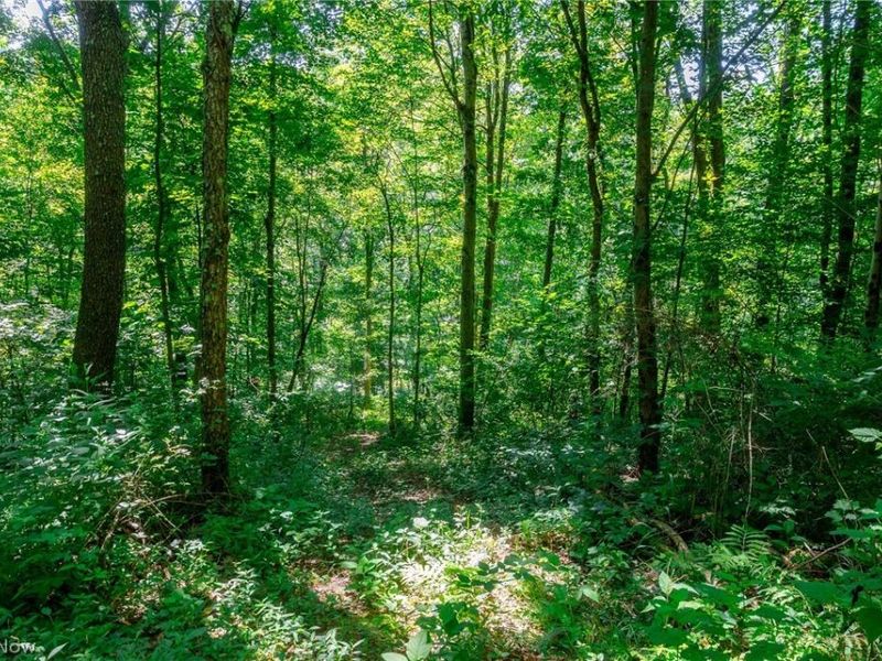 Kings Ridge Road , Newcomerstown, OH 43832 Photo 14