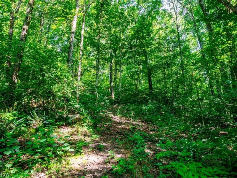 Kings Ridge Road , Newcomerstown, OH 43832 Photo 16