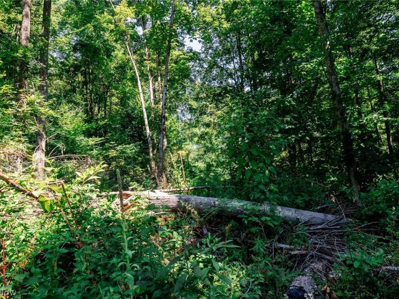 Kings Ridge Road , Newcomerstown, OH 43832 Photo 19