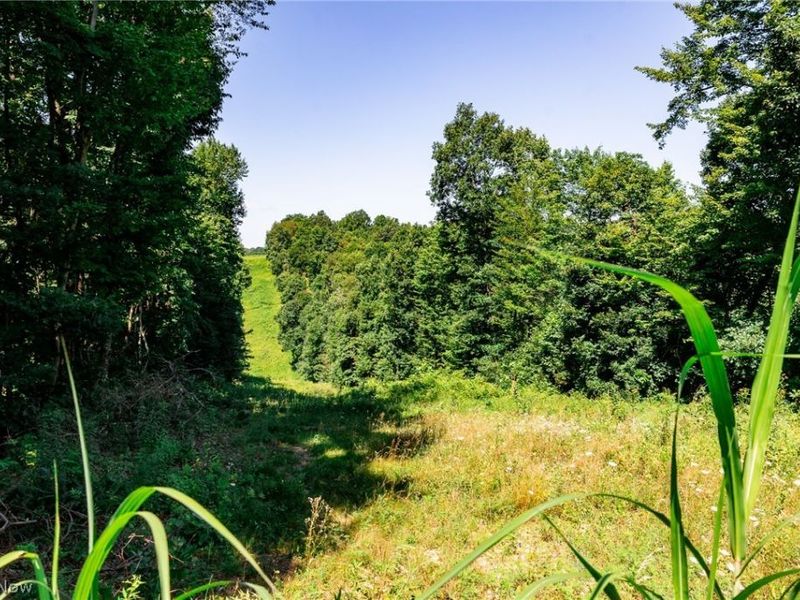 Kings Ridge Road , Newcomerstown, OH 43832 Photo 20