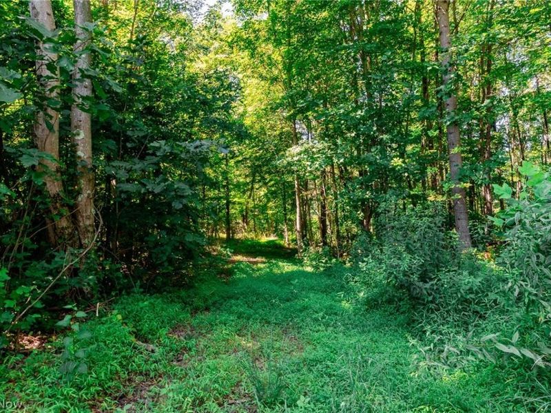 Kings Ridge Road , Newcomerstown, OH 43832 Photo 21