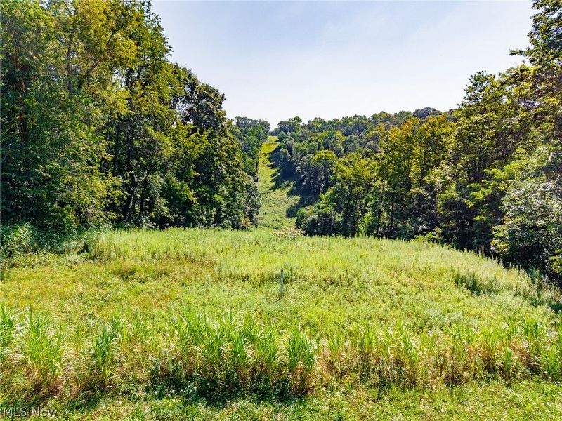 Kings Ridge Road , Newcomerstown, OH 43832 Photo 30