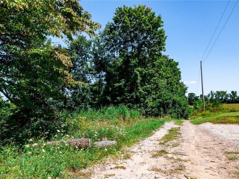 Kings Ridge Road , Newcomerstown, OH 43832 Photo 31