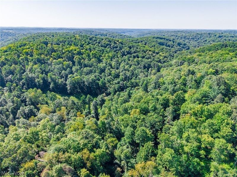 Kings Ridge Road , Newcomerstown, OH 43832 Photo 33