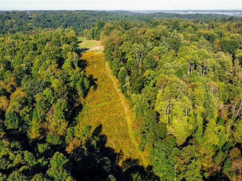Kings Ridge Road , Newcomerstown, OH 43832 Photo 39