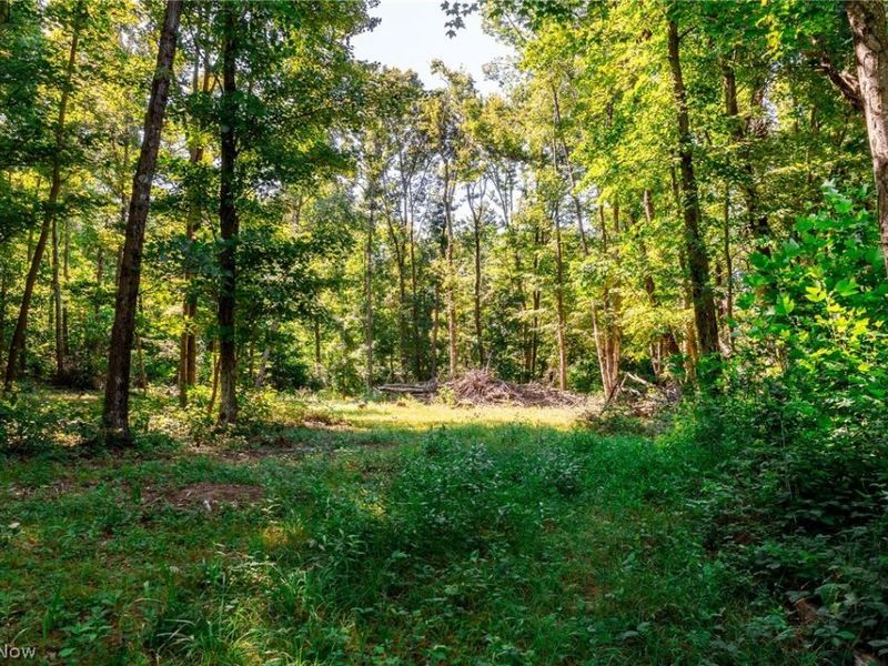 Kings Ridge Road , Newcomerstown, OH 43832 Photo 45
