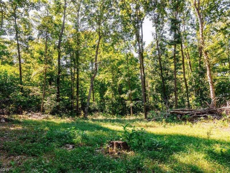Kings Ridge Road , Newcomerstown, OH 43832 Photo 47