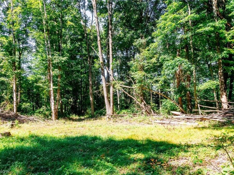 Kings Ridge Road , Newcomerstown, OH 43832 Photo 48
